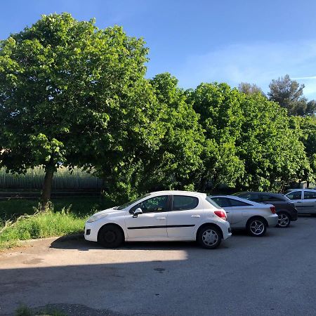 M&M I Navicelli Apartment Livorno Bagian luar foto